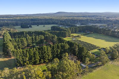 The Rare Regional Properties Capturing Buyers' Attention